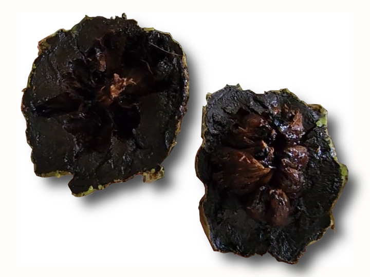 Black Sapote Bernecker